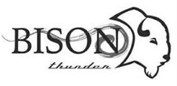 Bison Thunder Motorcycle Logo